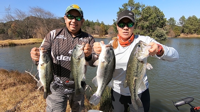 Captura de pantalla (765).png